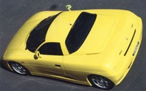 De Tomaso Guara : l’alternative