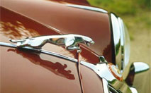 Jaguar : quitte ou double !