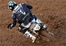MX: Paulin ne sera pas aux Pays-Bas