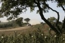 WRC: Retour sur le rallye du Portugal 2009