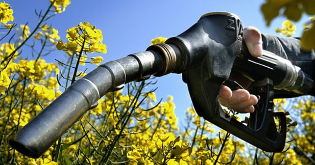 Bientôt une deuxième génération de biocarburants