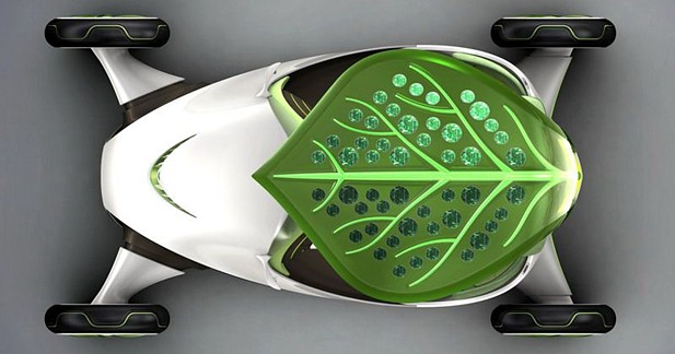SAIC Leaf : étrange plante chinoise