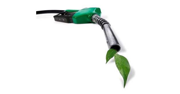 Toyota accélère sur l'éthanol de seconde génération