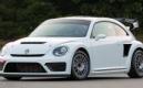 Volkswagen Coccinelle GRC : Choupette s'énerve