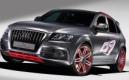 Audi SQ5 : Politiquement incorrect