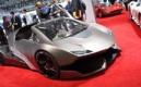Espera Sbarro Evoluzione : Mutation génétique