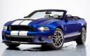 Shelby Ford GT500 Convertible : Happy Birthday