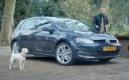 Milou se prend pour une Golf dans un spot TV Volkswagen