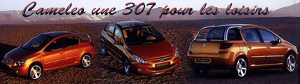 Une 307 pour les loisirs