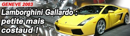Lamborghini Gallardo : petite mais costaud !