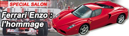 Ferrari Enzo: l'hommage