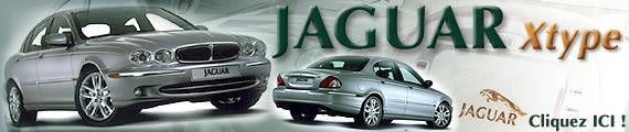 Une petite Jaguar qui voit grand