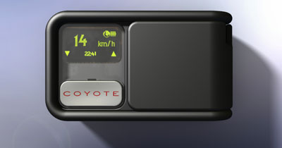 Mini Coyote