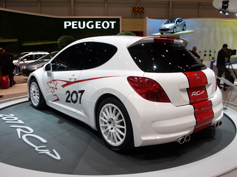  - Peugeot 207 RCup