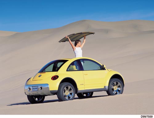  - Volkswagen New Beetle Dune