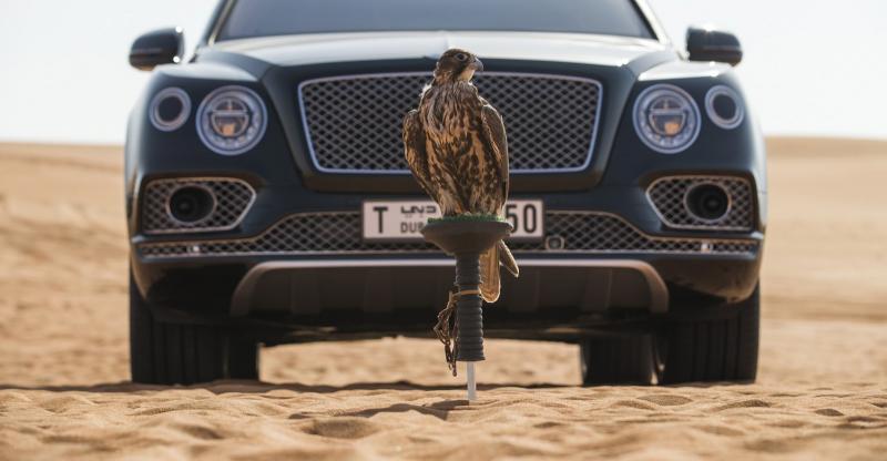  - Bentley Bentayga Falconry par Mulliner