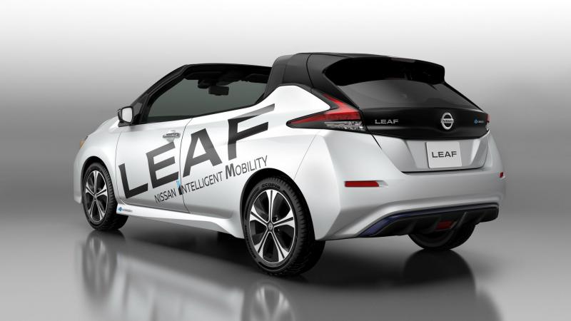  - Nissan Leaf Open-Air