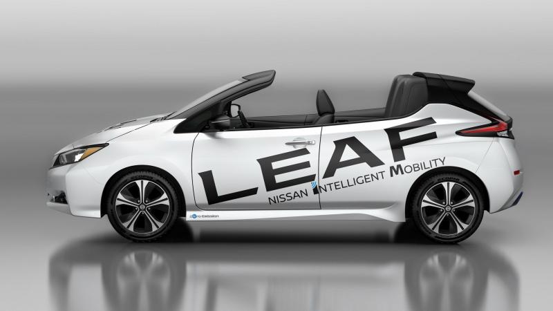  - Nissan Leaf Open-Air