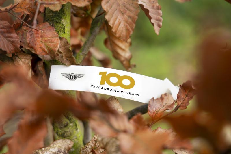 100 arbres pour les 100 ans de Bentley | Les photos sur le site de Crewe