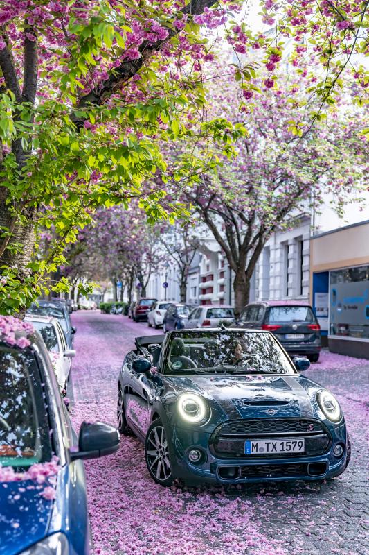  - Mini Cabrio Sidewalk : les photos de la citadine en mode cerisier du Japon