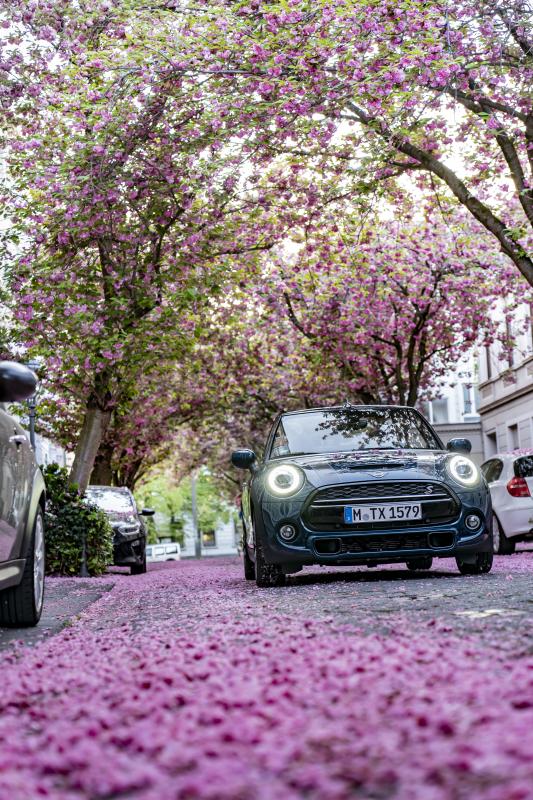  - Mini Cabrio Sidewalk : les photos de la citadine en mode cerisier du Japon