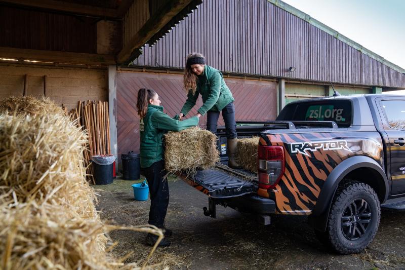 Ford Ranger Raptor | Les photos des pick-ups livrés au zoo ZSL Whipsnade