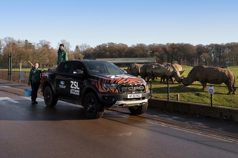 Ford Ranger Raptor | Les photos des pick-ups livrés au zoo ZSL Whipsnade