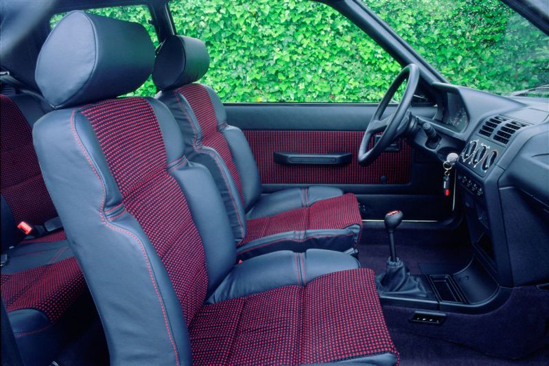  - Les 25 ans de la Peugeot 205 GTI