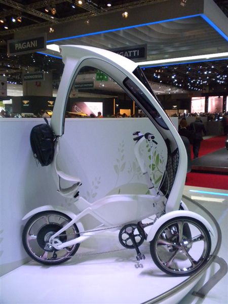  - Hyundai Trike