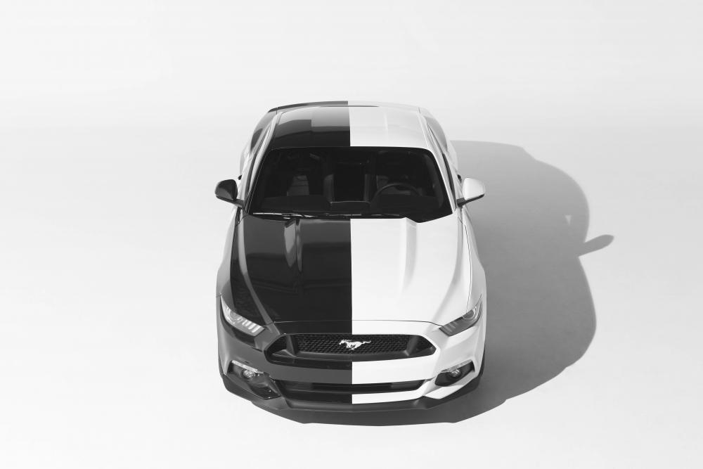  - Quand la nouvelle Ford Mustang devient une œuvre d'art
