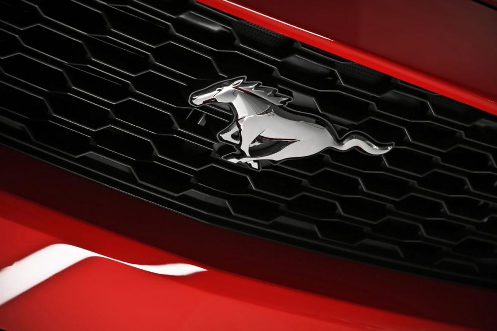  - Ford Mustang (Dingo)