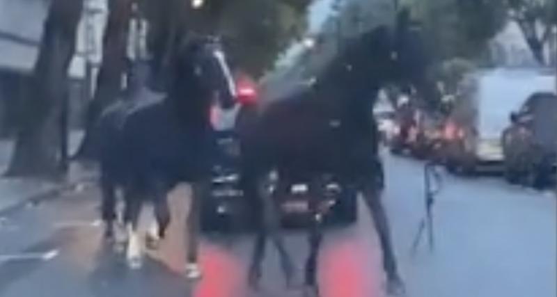  - Des chevaux en fuite dans les rues de Londres, drôle de début de journée pour les automobilistes