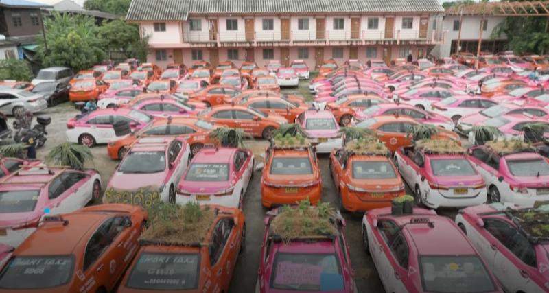  - À Bangkok, des taxis transformés en potager à cause du manque de clients