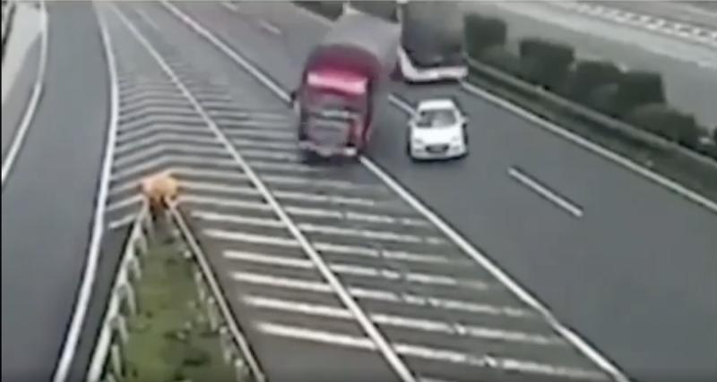  - VIDEO - Il envoie plusieurs camions au tapis en ratant sa sortie d’autoroute mais lui s’en sort parfaitement