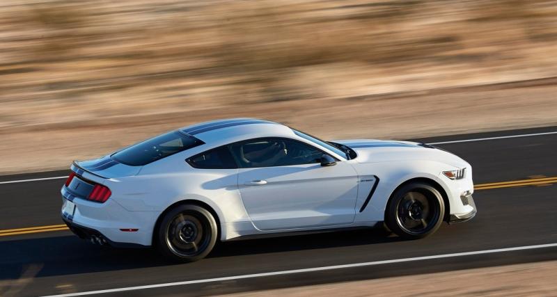  - Ford Mustang Shelby GT350 : brute épaisse