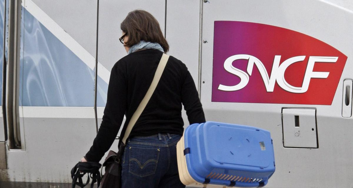 Auto-train : la SNCF tisse sa Toile