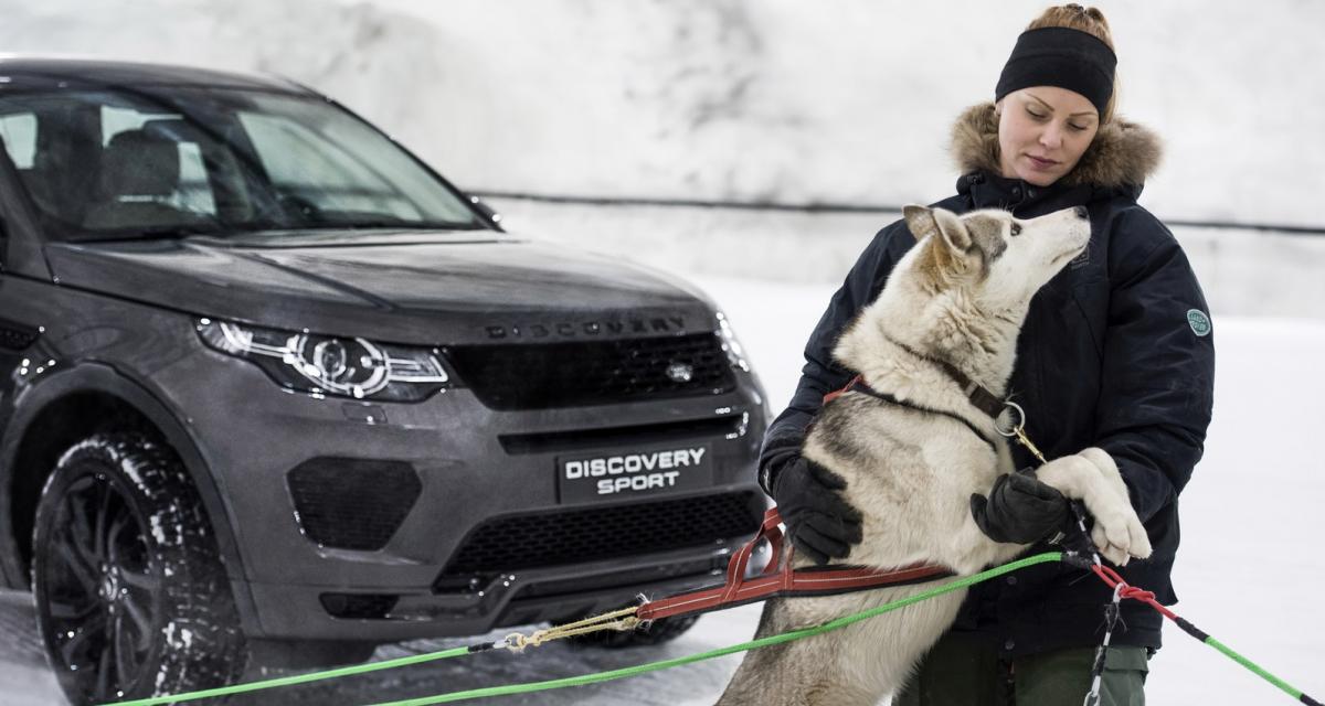 Le Land Rover Discovery Sport dans un duel qui a du chien