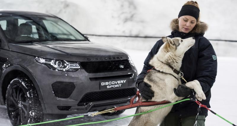  - Le Land Rover Discovery Sport dans un duel qui a du chien