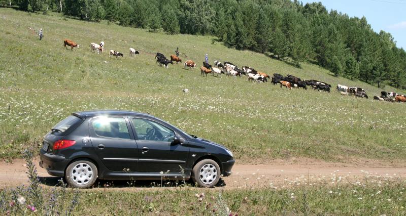 Prime à la casse  et bonus écologique: les conditions pour être éligible, jusqu'à 11 000€ - Renault ZOE