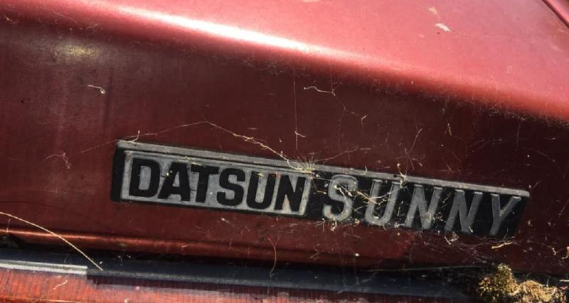  - Australie : il fait cuire un rôti de porc dans sa Datsun Sunny