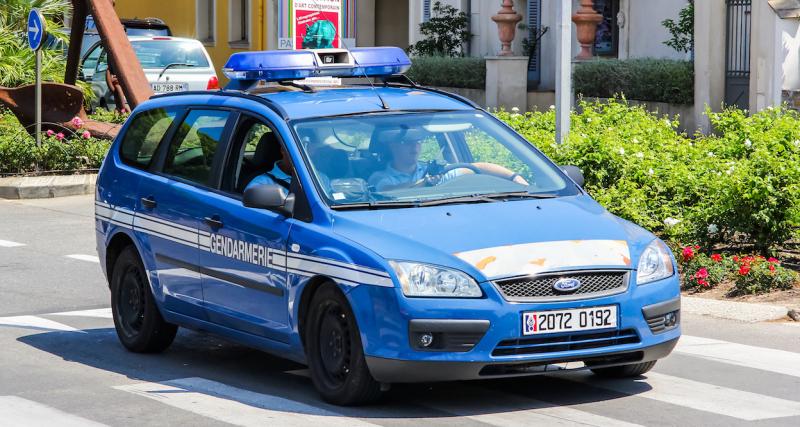 Loire-Atlantique : course-poursuite avec les gendarmes après avoir volé des brebis ! - photo d’illustration