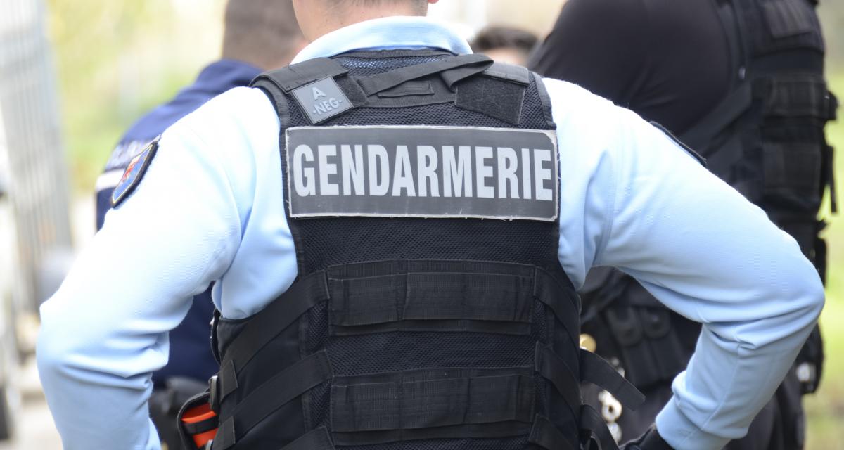 La gendarmerie vient suspendre son permis et trouve une plantation de cannabis