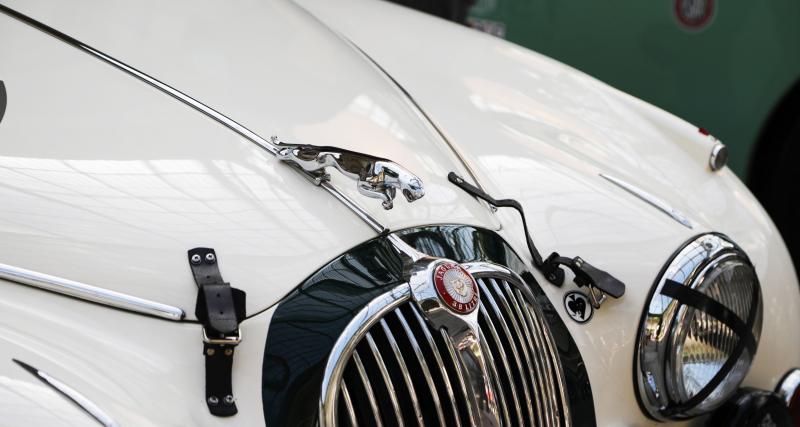 Jaguar : nos photos des fauves anglais au Grand Palais - Deux modèles emblématiques