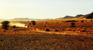 Quand Claude Brasseur gagnait le Dakar