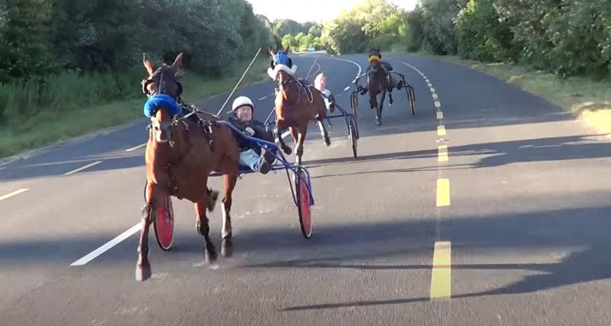 VIDEO - En Floride, on fait la course avec des chevaux sur l'autoroute, et tout est normal