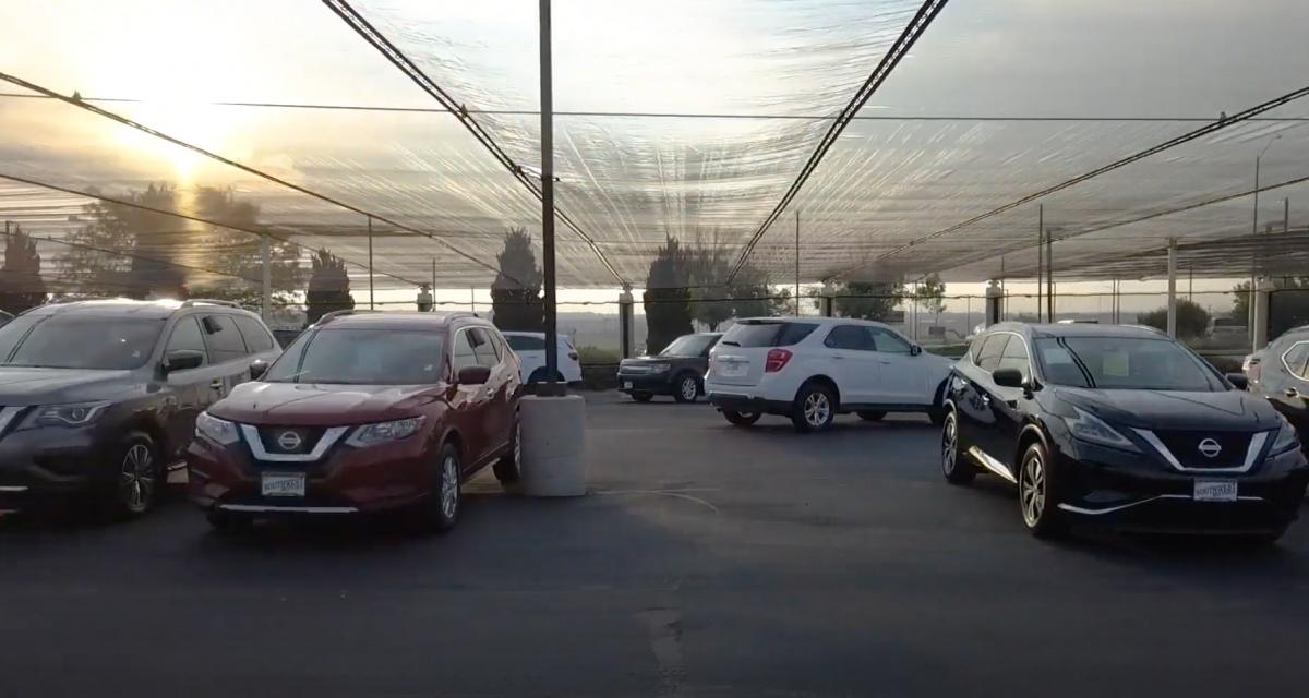 VIDEO - Ce concessionnaire a trouvé le moyen idéal de protéger ses voitures neuves des dégâts de la grêle