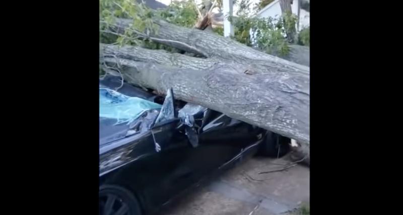  - VIDEO - Il laisse sa Bentley chez lui, les jardiniers font tomber un arbre dessus