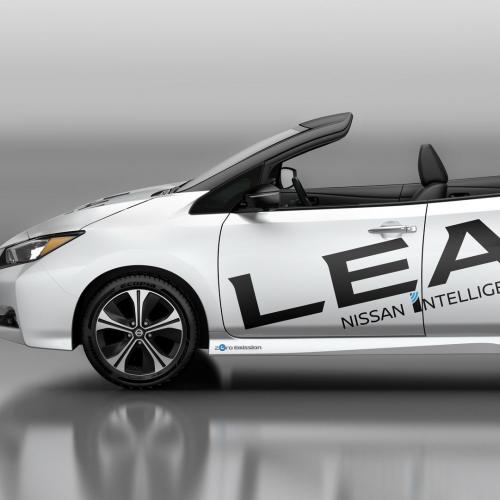 Nissan Leaf Open-Air