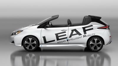 Nissan Leaf Open-Air