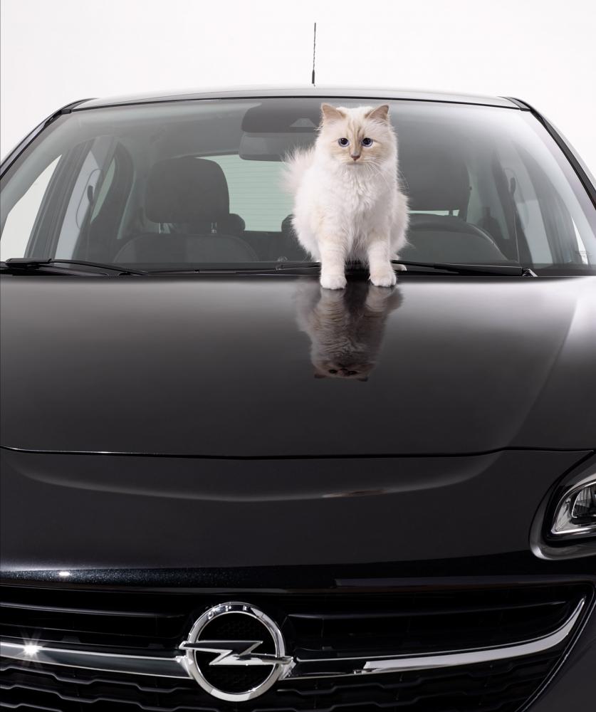 L'Opel Corsa fait ronronner Choupette, le chat de Karl Lagerfeld